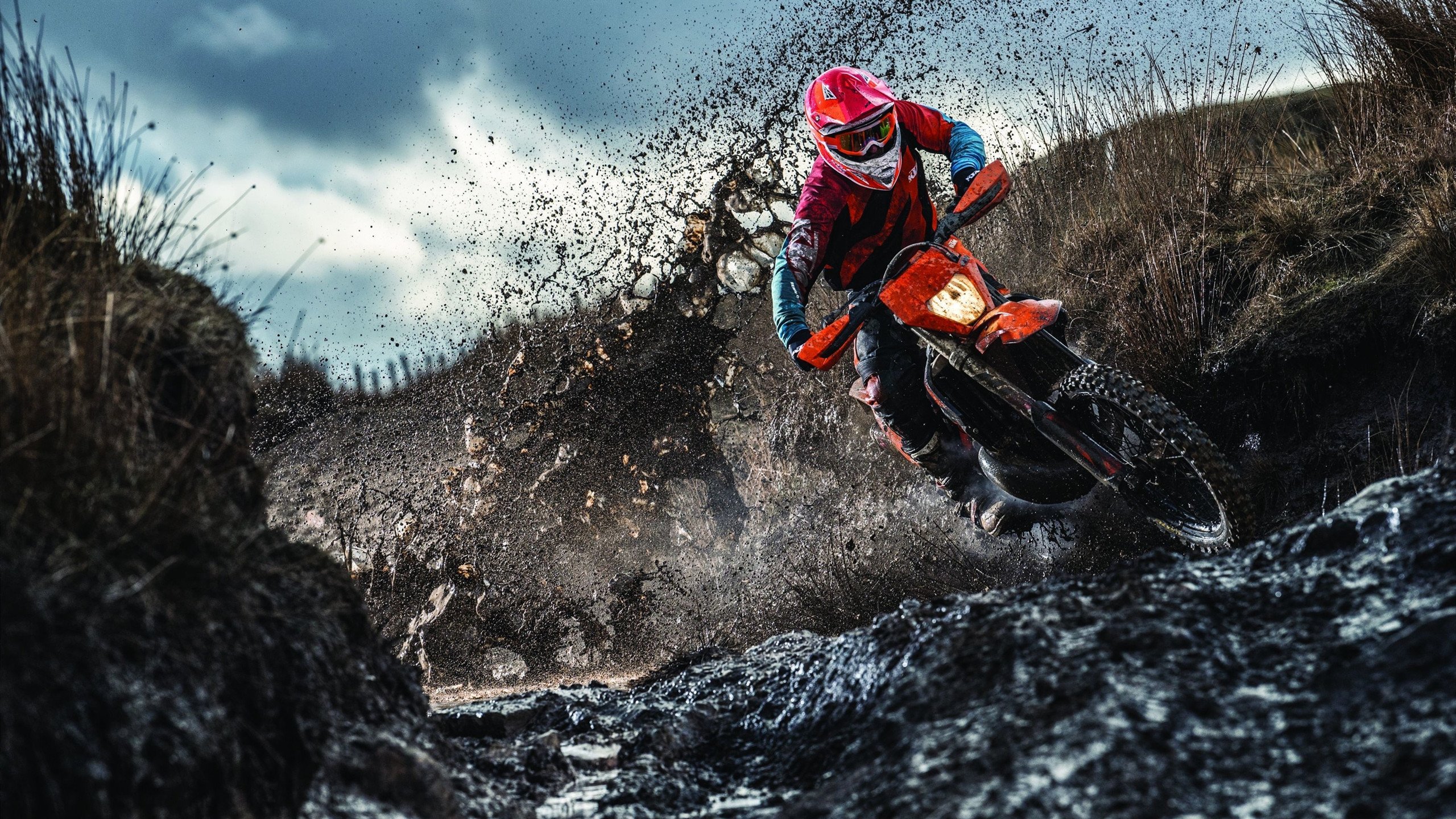 女篮亚洲杯中国夺冠 全队表现震撼，女蓝亚洲杯谁是冠军